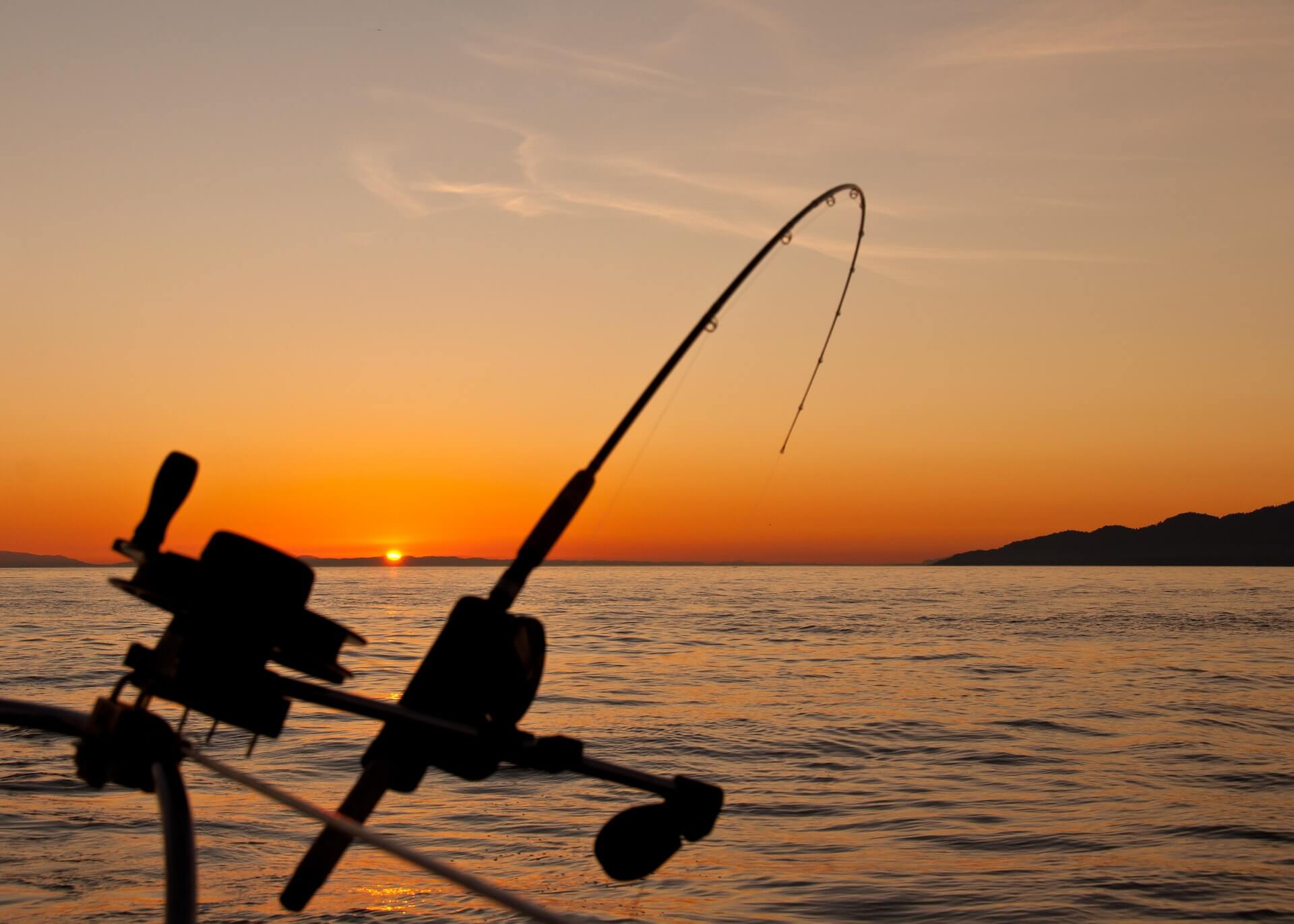 fishing rod during the sunset