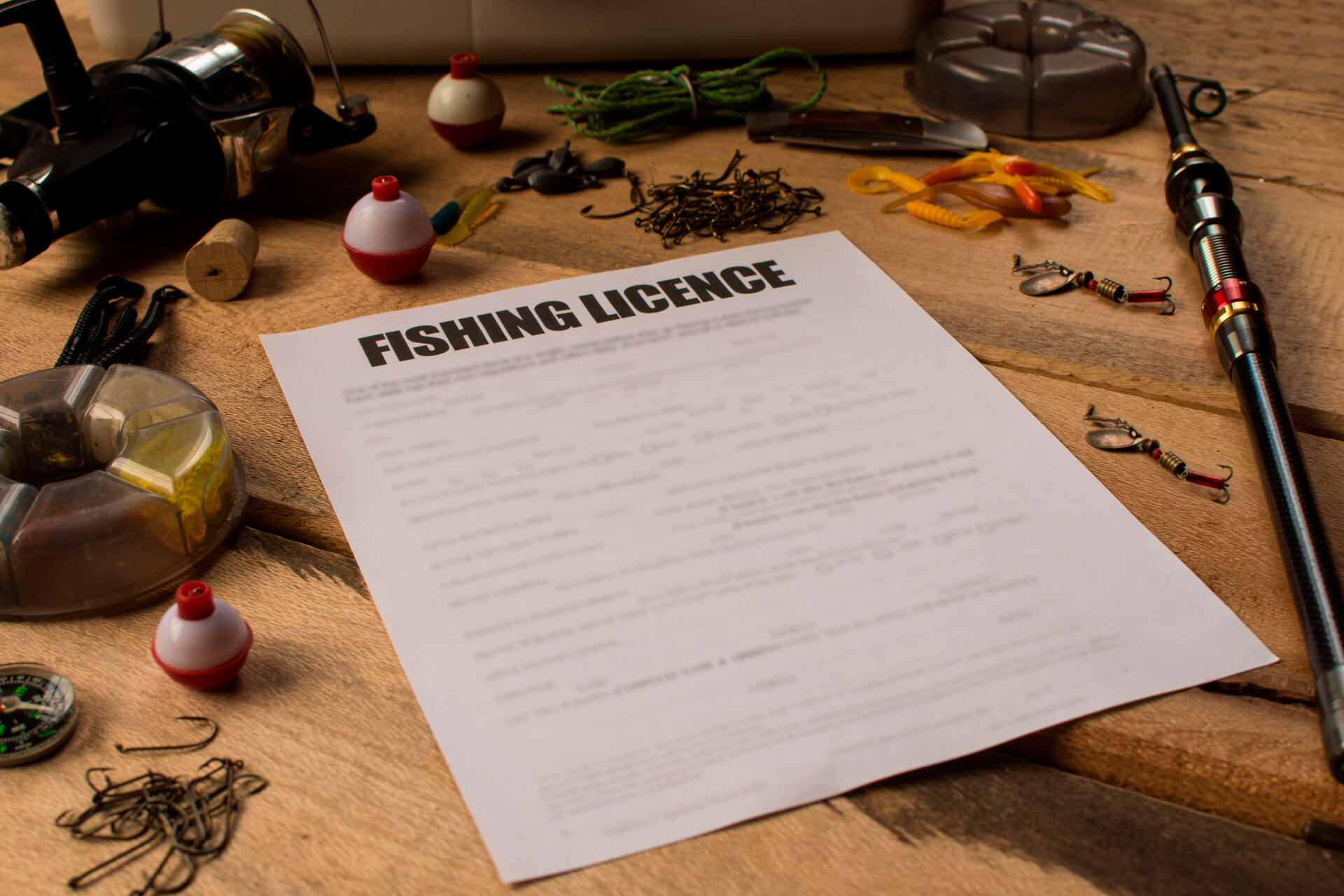 license and permission to fish.