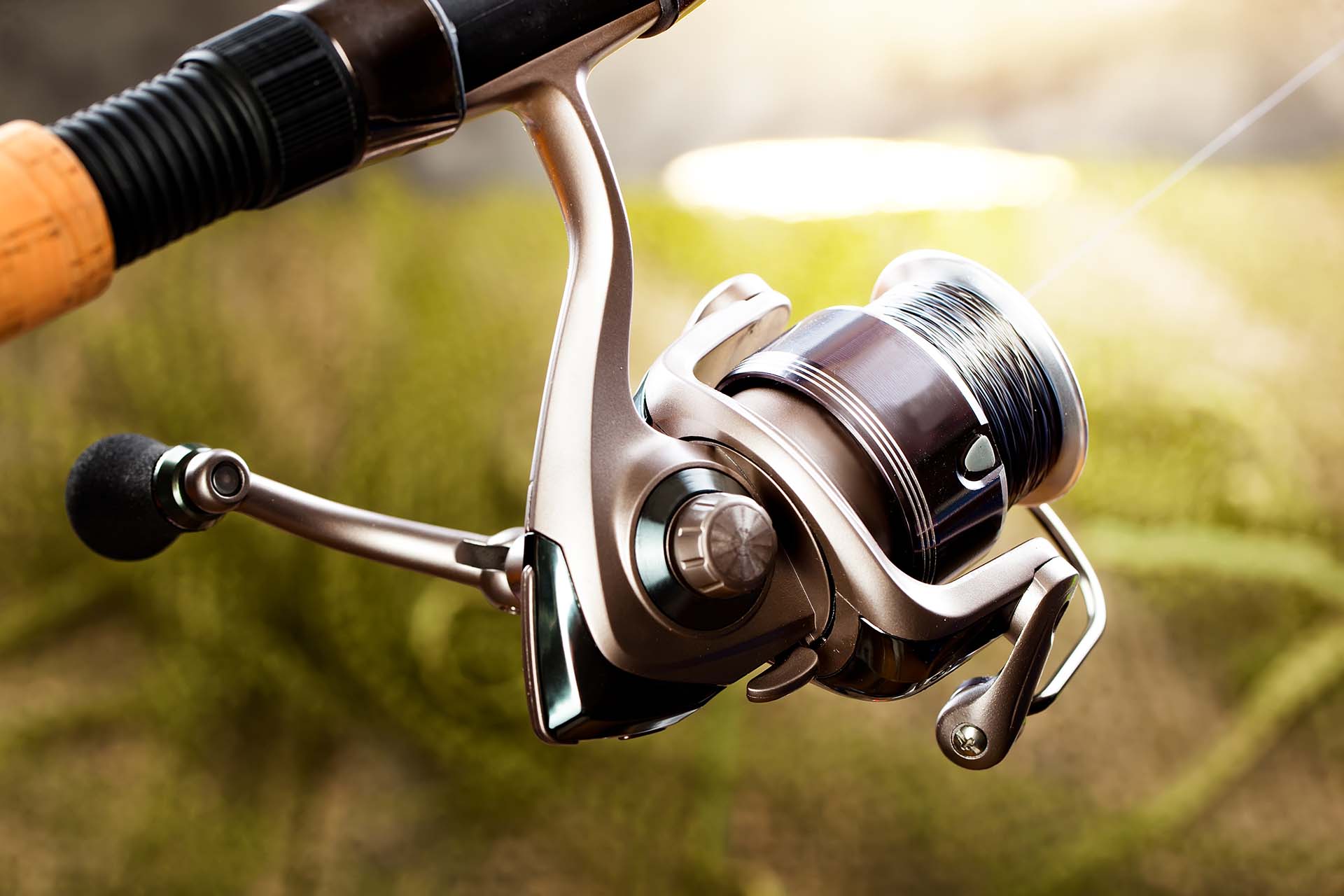 Fishing rod and spinning reel