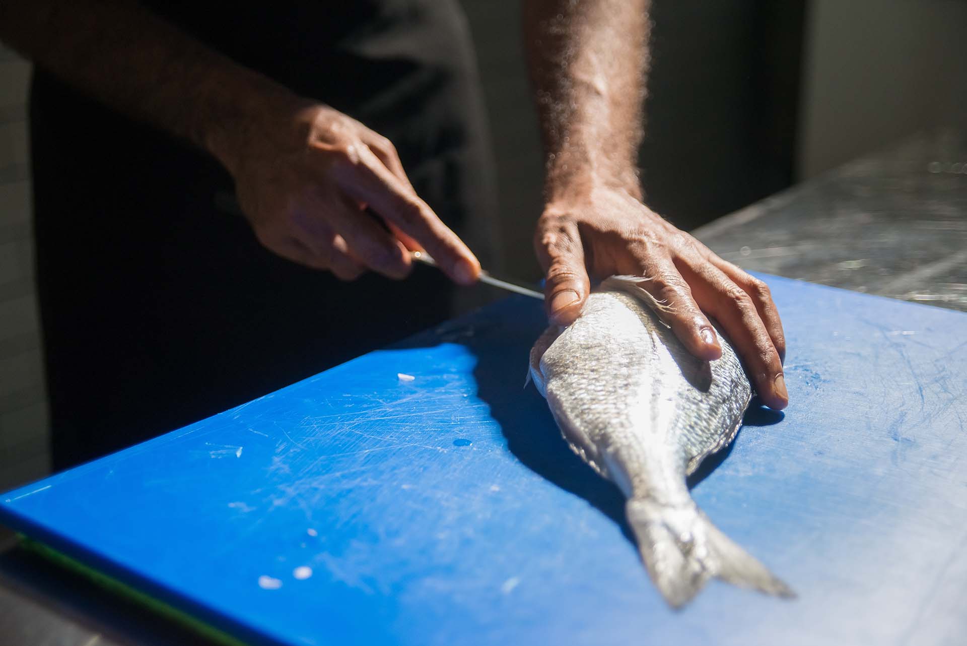 A person gutting the fish
