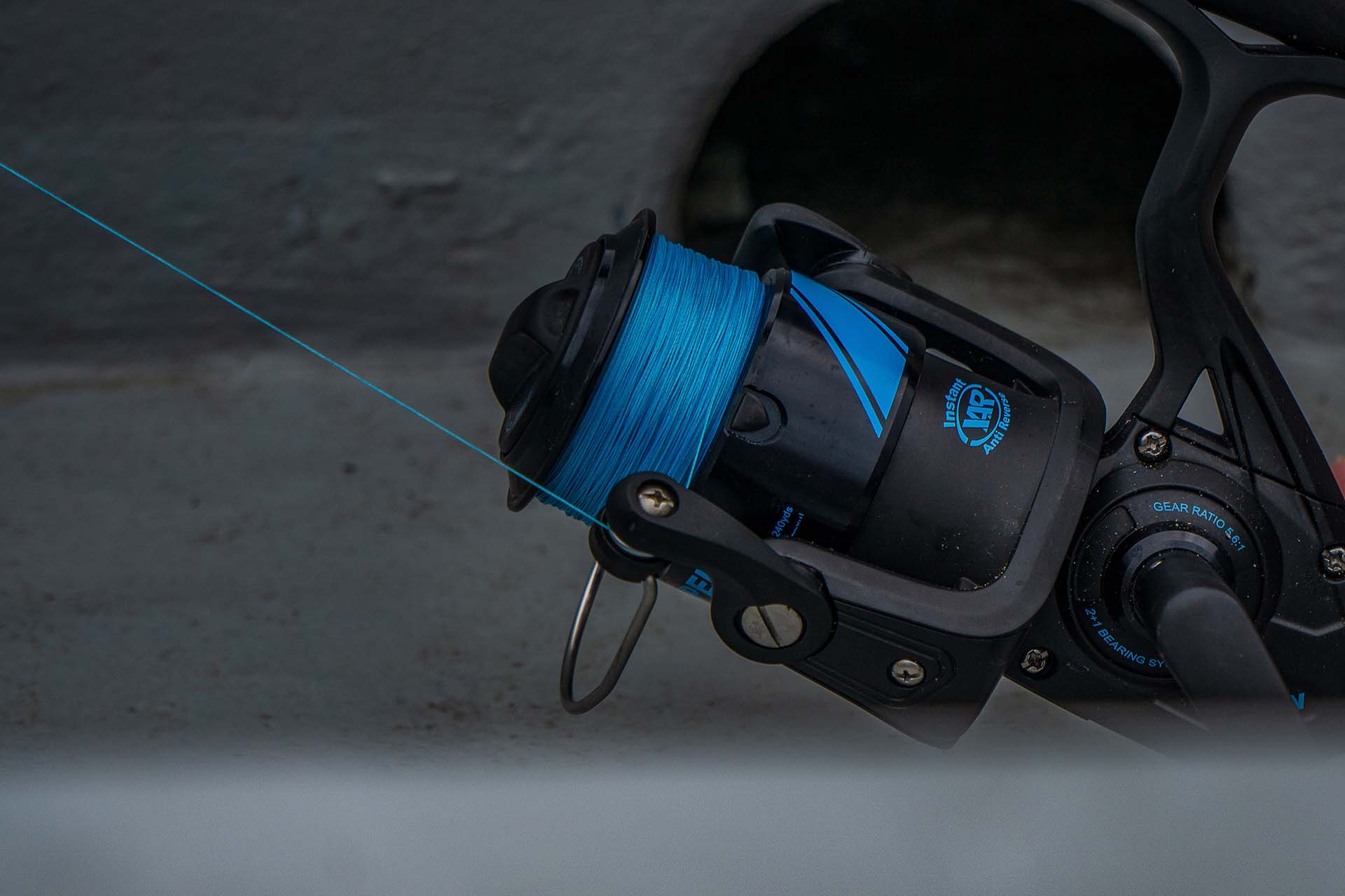 Blue line on a spinning reel