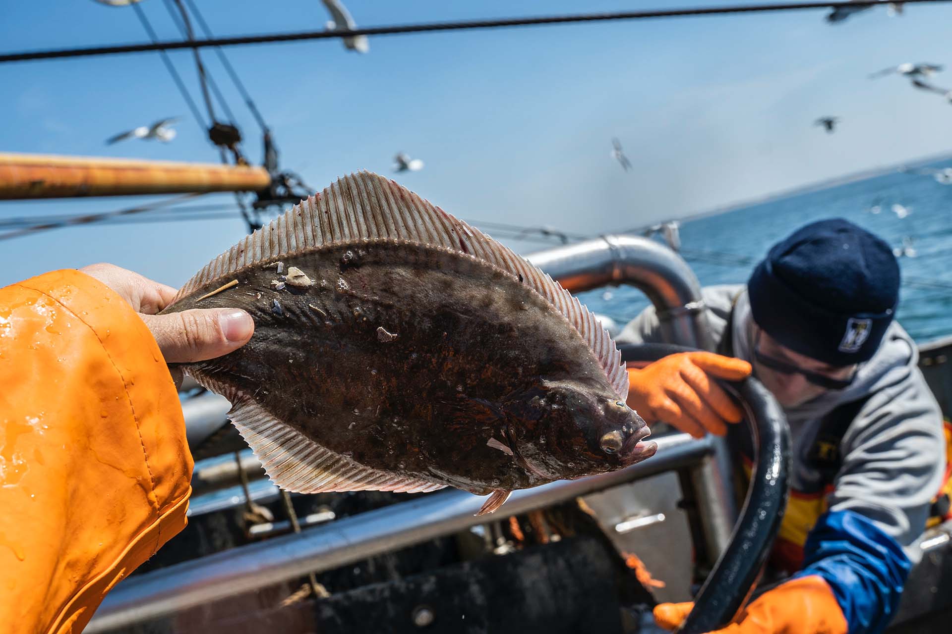 A person holding a flounder in their hand