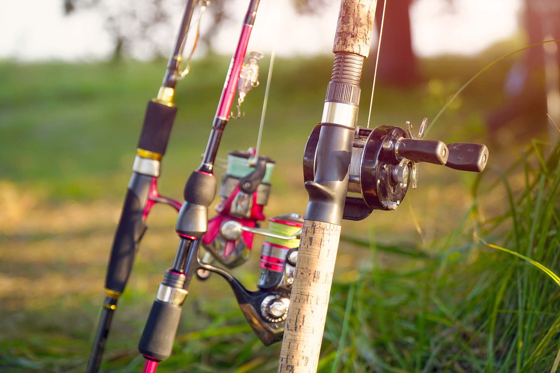 Different fishing rods and reels