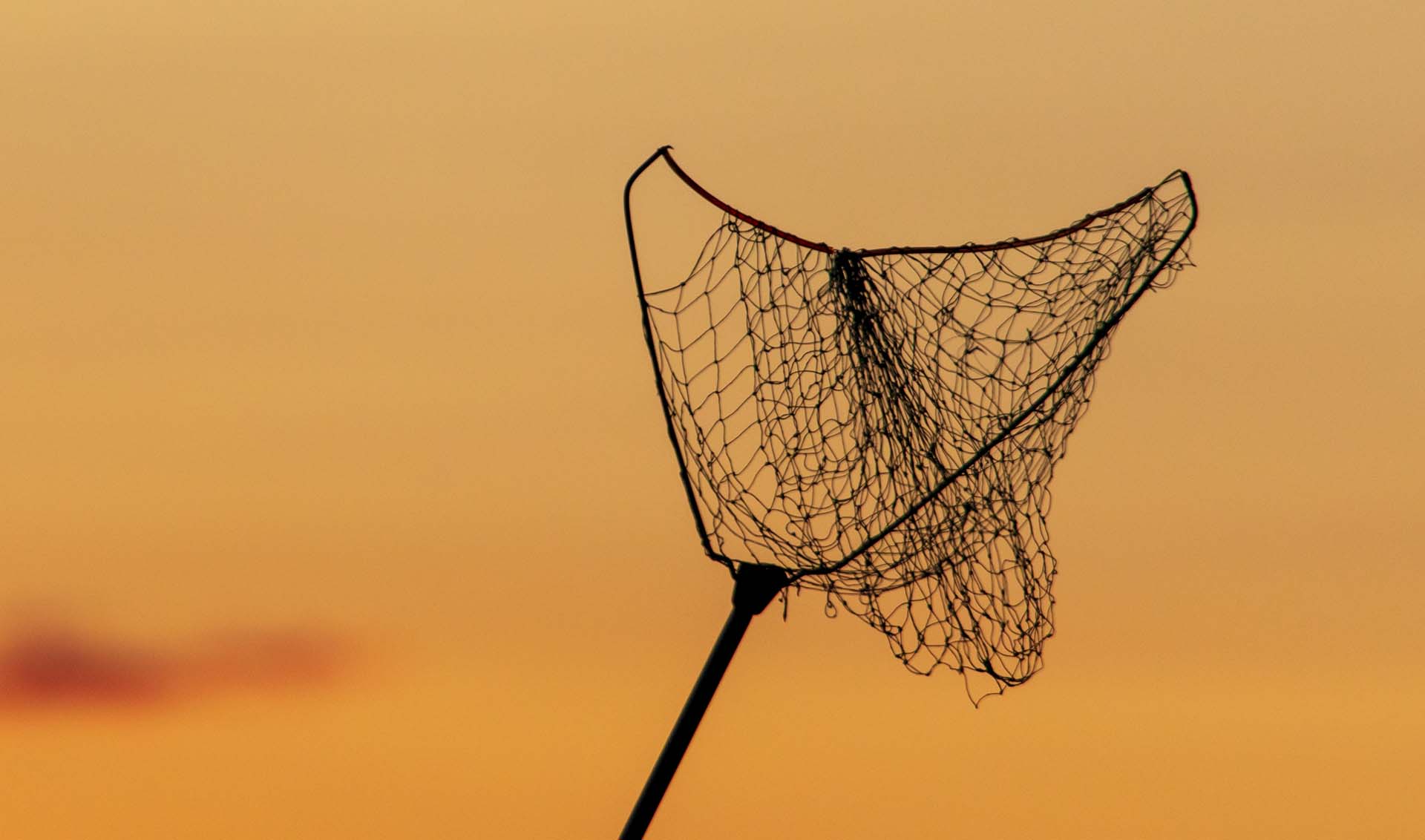 Landing net for fishing at sunset .