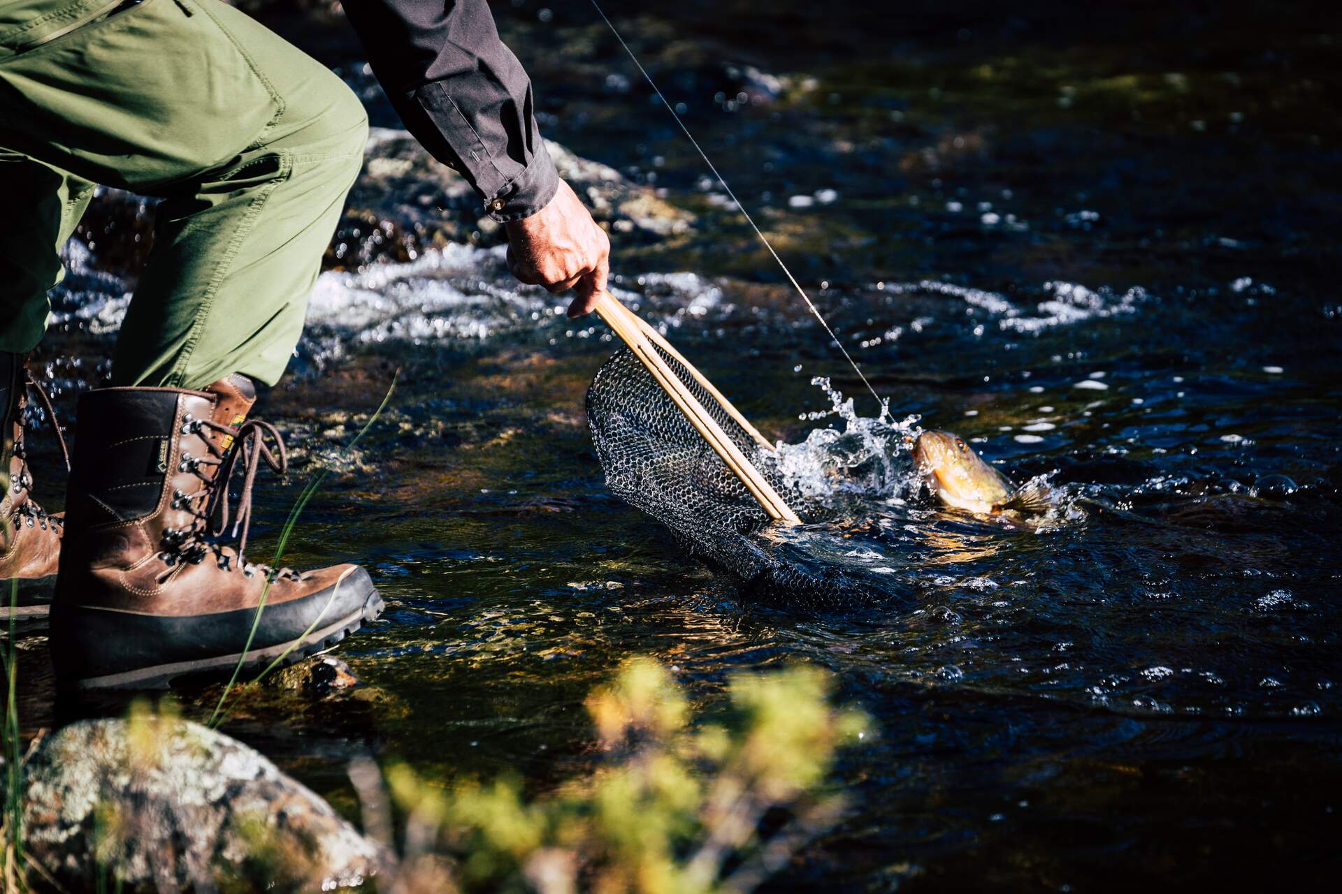 A person catching fish with a net