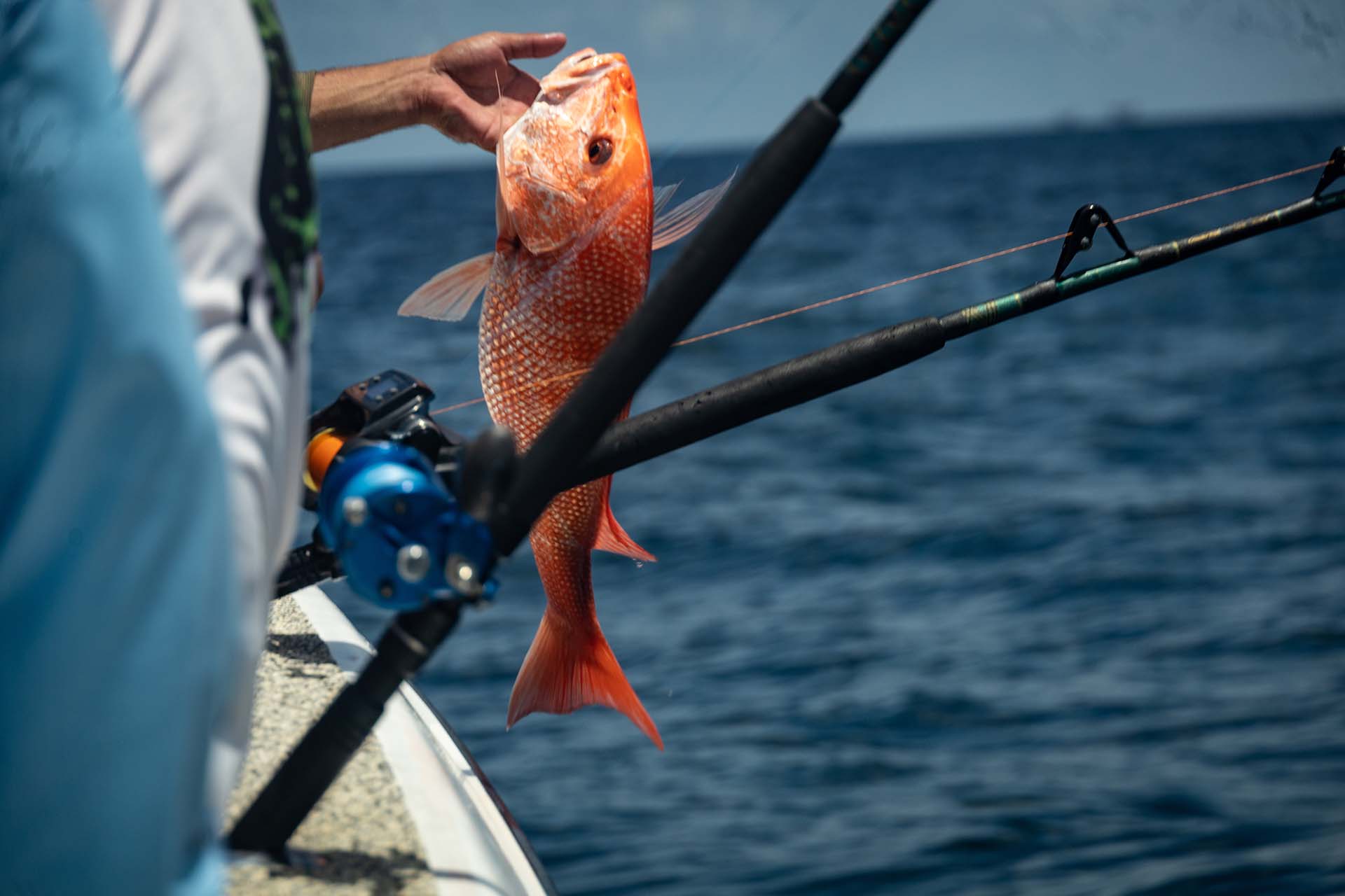 Person holding a caught red snapper in their hand
