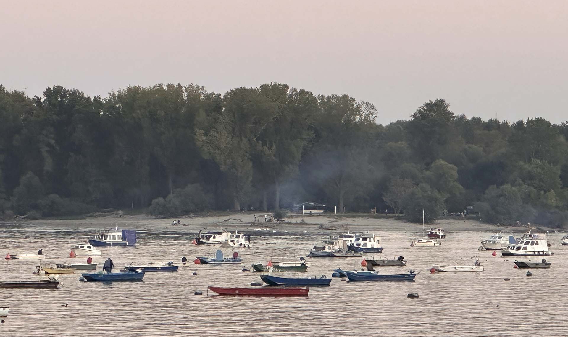 Many boats on the Danube River