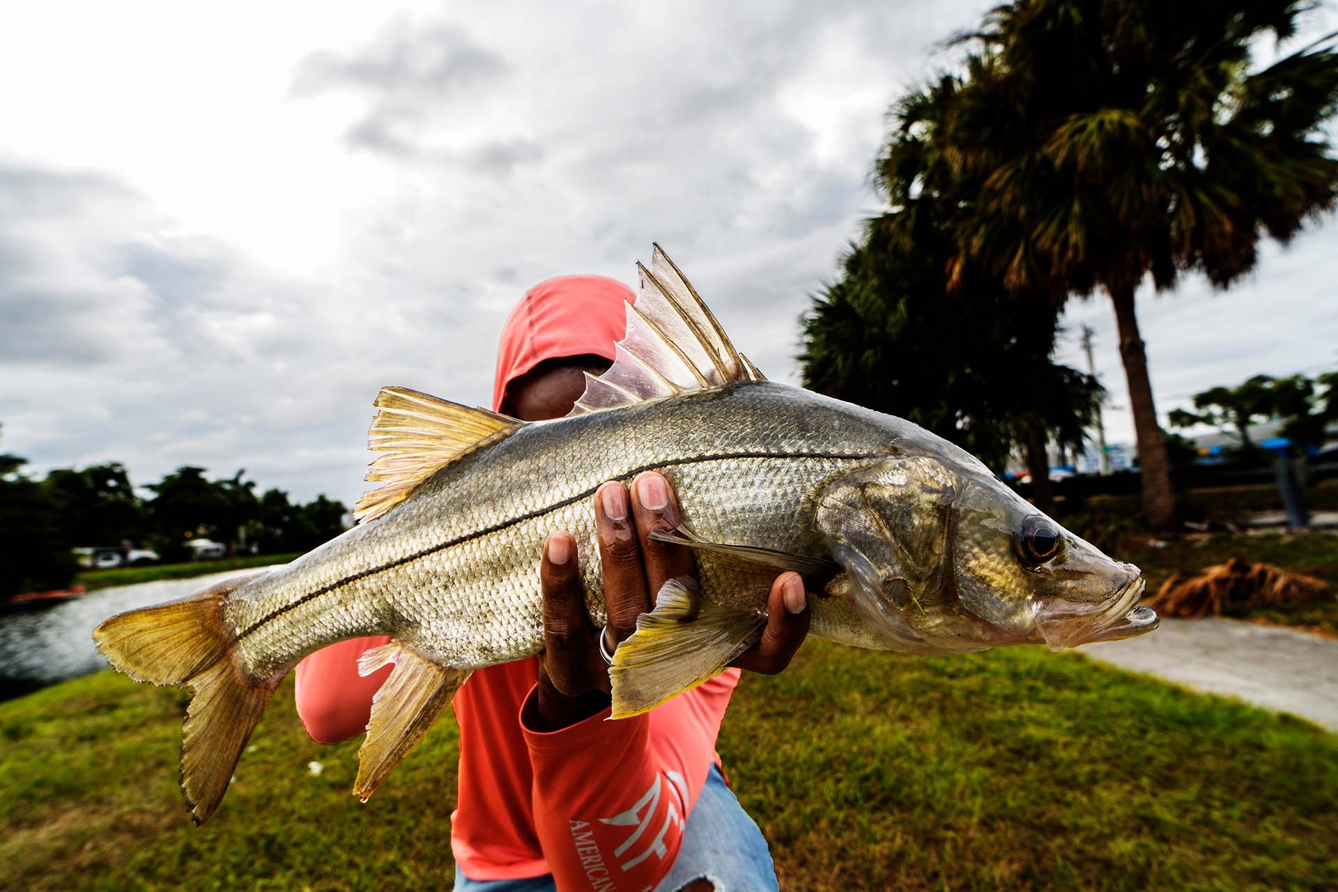 Person showing off a freshwater snook