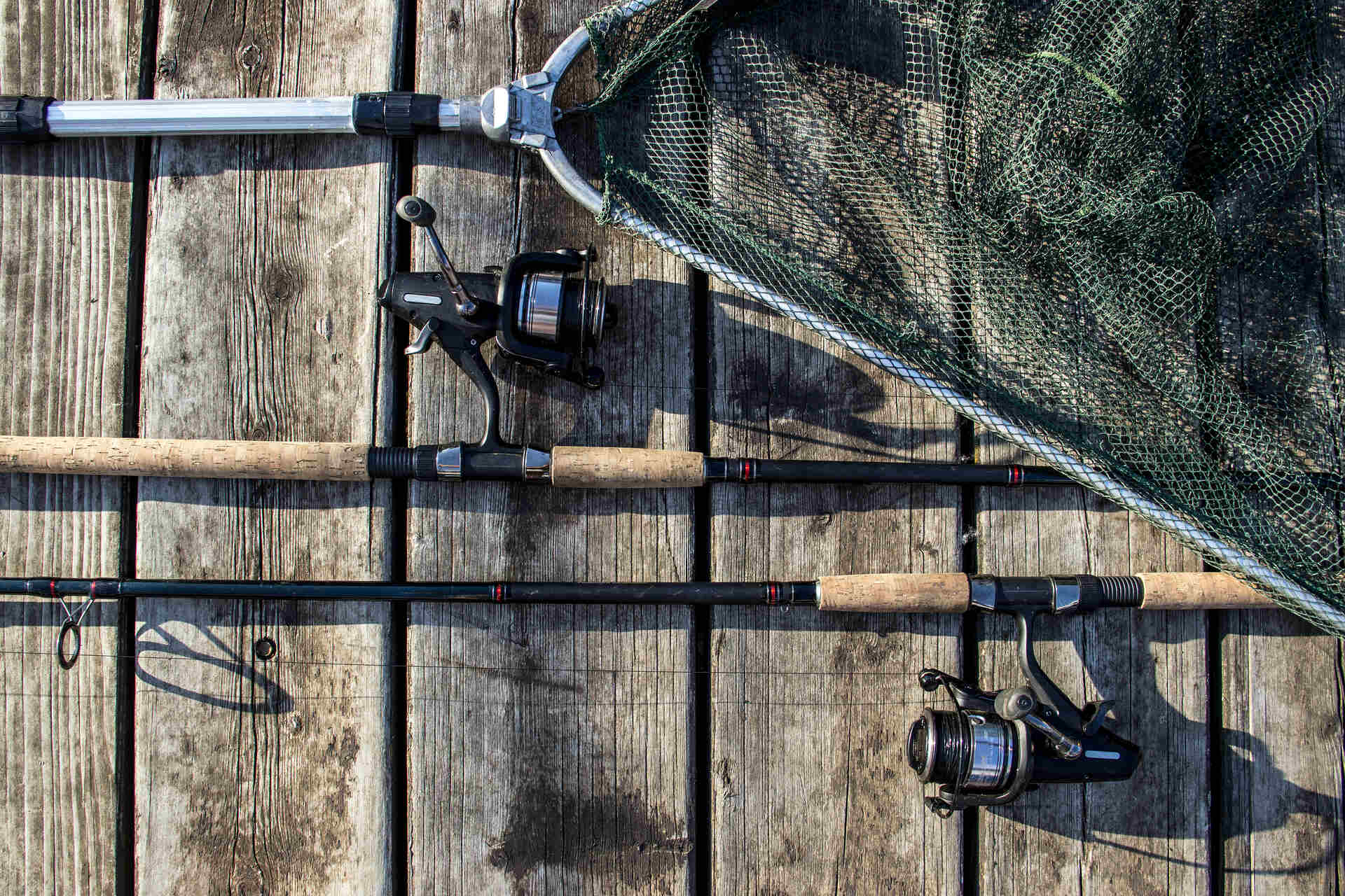 Two fishing rods and a landing net