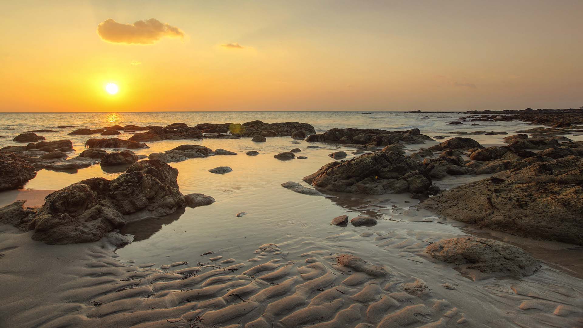 Low tide during sunset