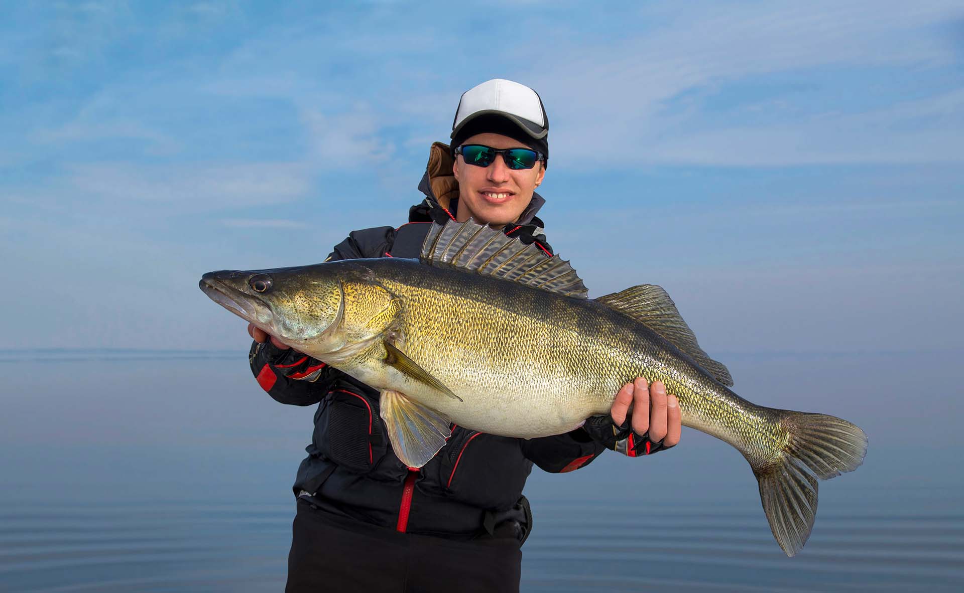 Happy fisherman holding a walleye fish