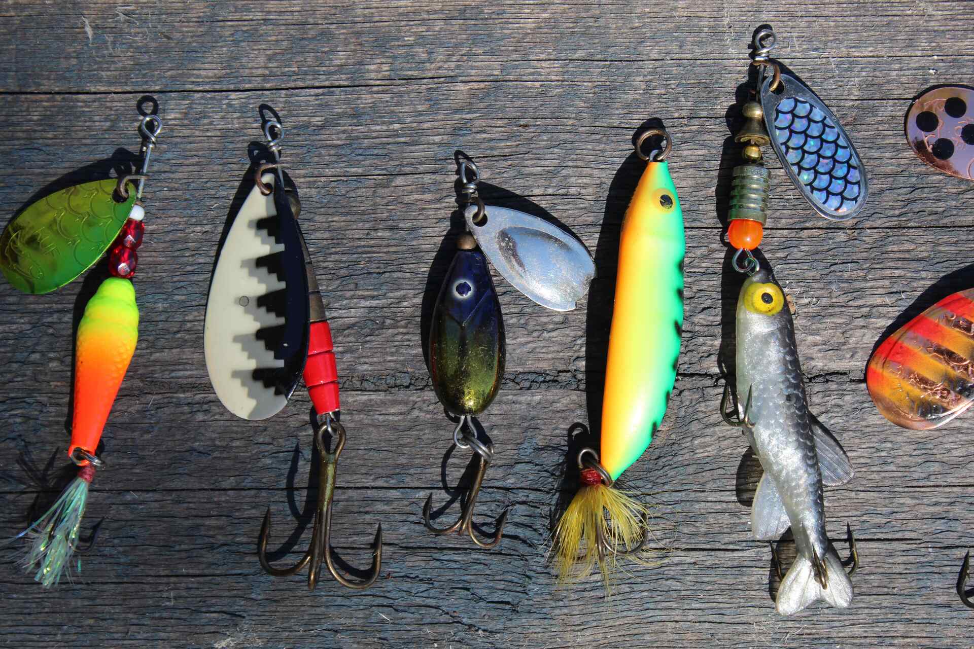 Various colored swimbaits on a wooden background