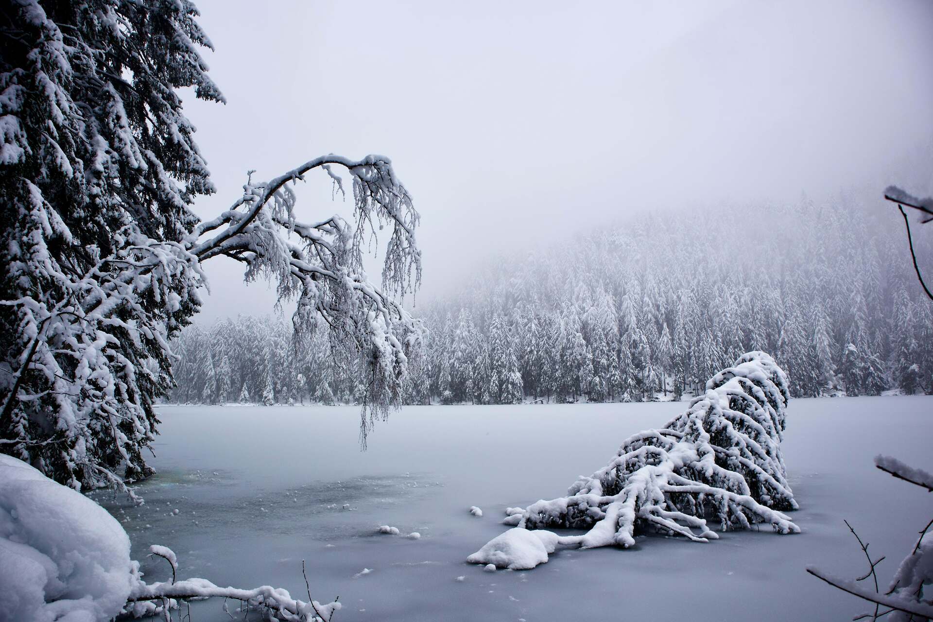 A frozen lake near the forest