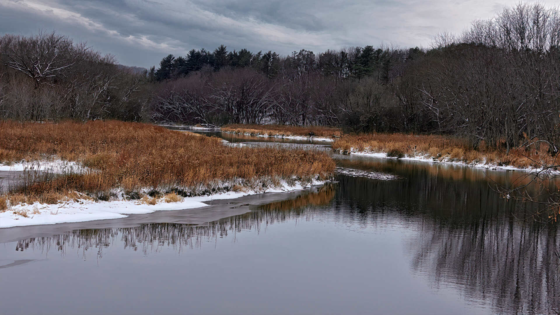 Scenic view of frozen lake by trees