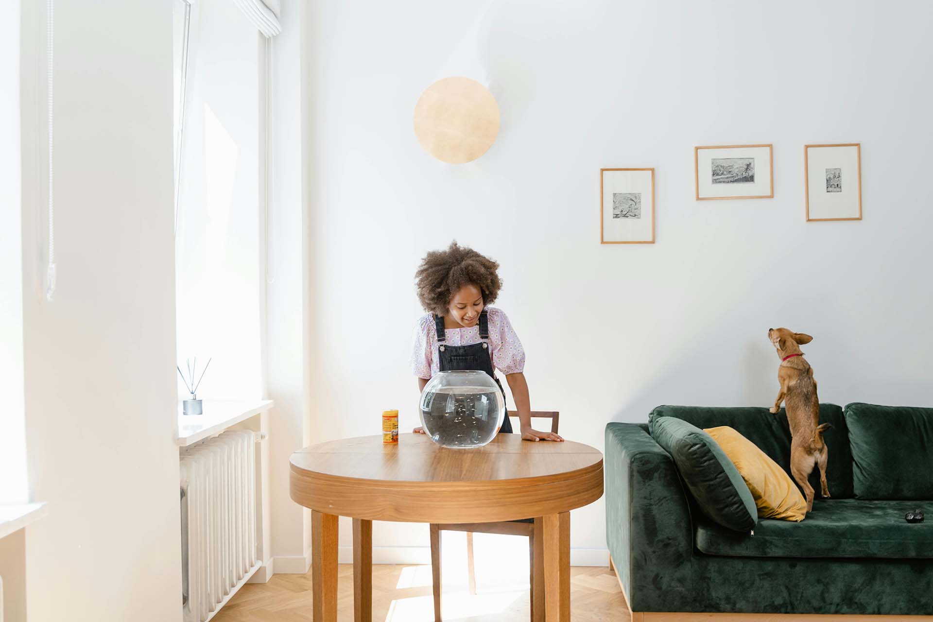 A girl standing above the fish tank 