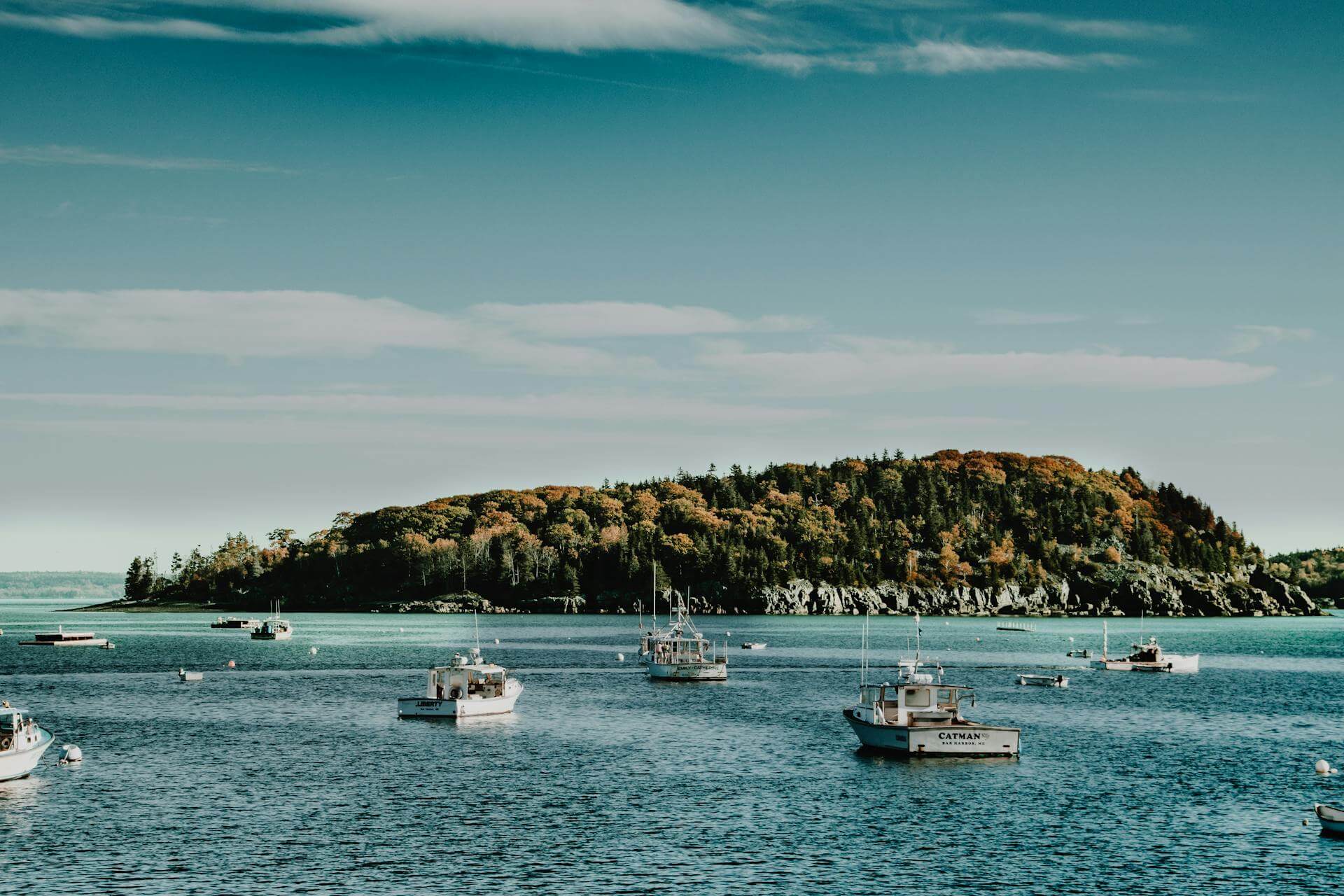 White boats on the sea