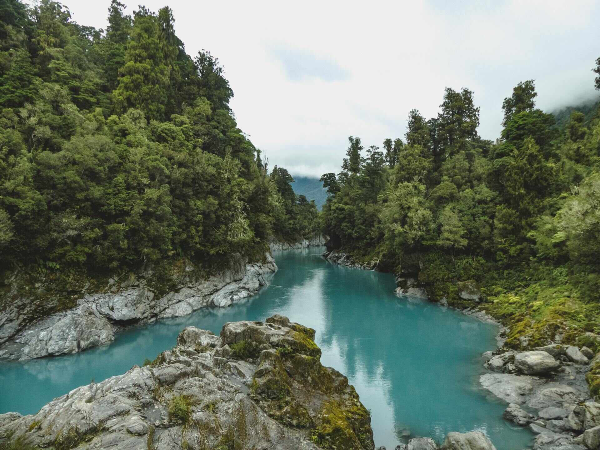 View of a river in New Zealand