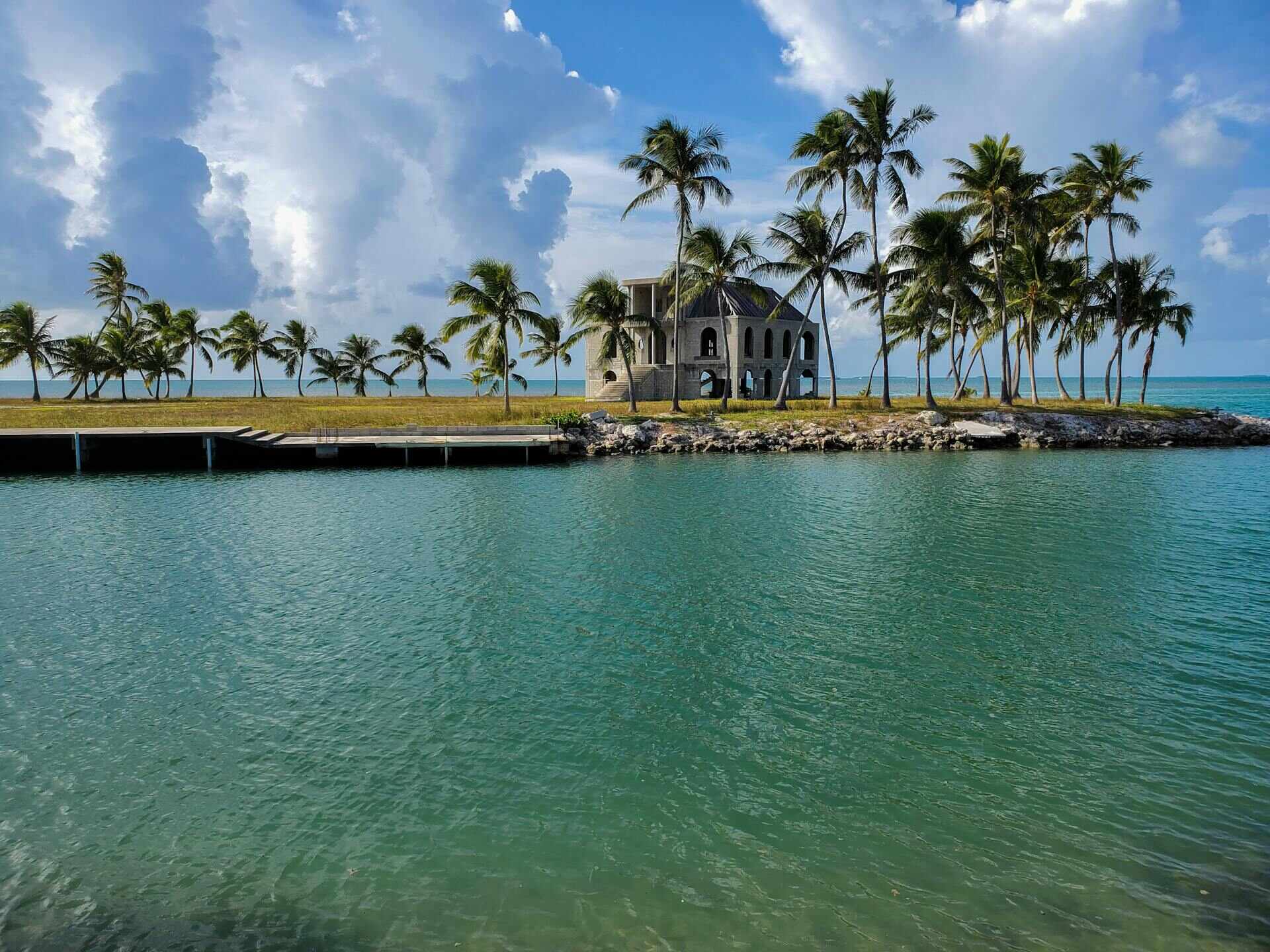 Green palm trees near ocean water in Florida